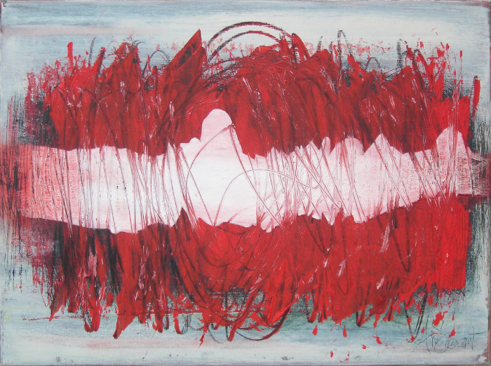 Ans-Swart-Farewell-F-07-Separation